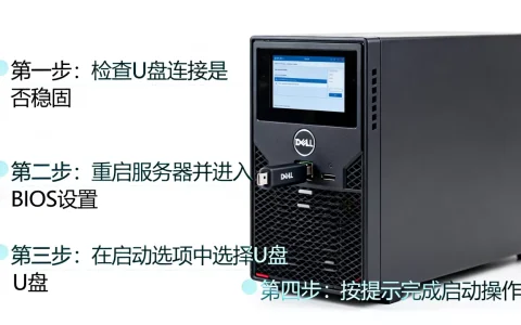 戴尔服务器U盘启动不了怎么办，解决步骤有哪些？