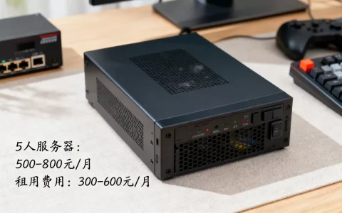 5人游戏服务器需要多少钱，游戏服务器租用多少钱一个月？