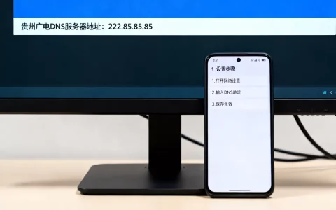 贵州广电dns服务器地址是多少，如何设置最快？