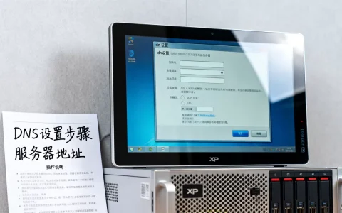 xp系统服务器dns该怎么设置在哪里找,有哪些方法