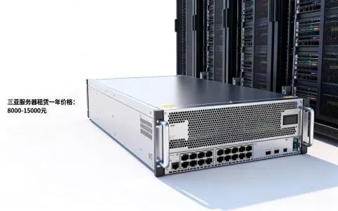 三亚服务器租赁一年多少钱，最新价格报价多少？