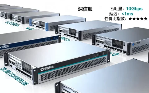 流量过滤服务器有哪些品牌，哪个性价比高？