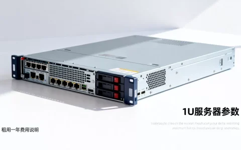 服务器1u多少钱一台，租用一年费用贵不贵