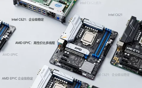 服务器主板有哪些常见型号？哪个性价比高