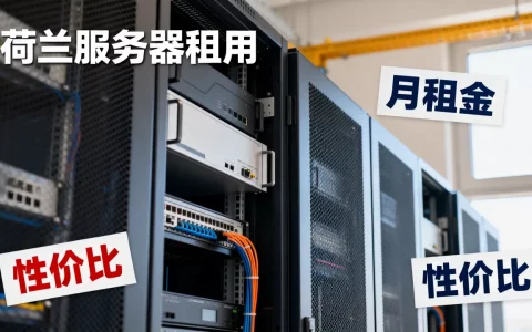 荷兰服务器租用一个月要多少钱，哪家便宜？