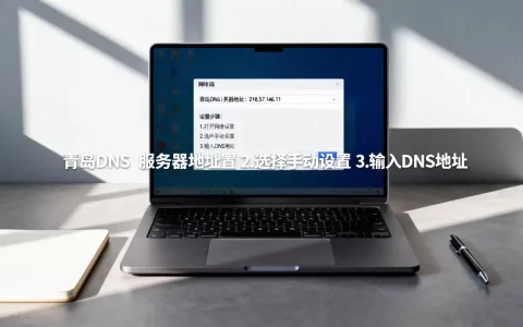 山东青岛dns的服务器地址是多少，如何设置DNS？