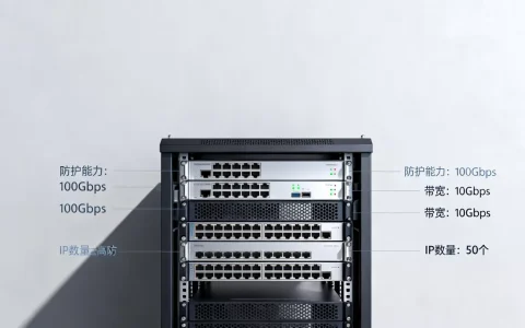 简米云高防服务器参数有哪些？,高防服务器怎么选
