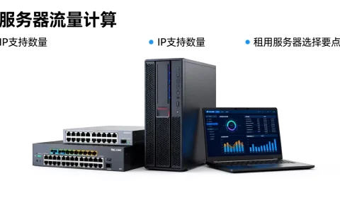 服务器10t流量能支持多少IP，租用服务器怎么选择？