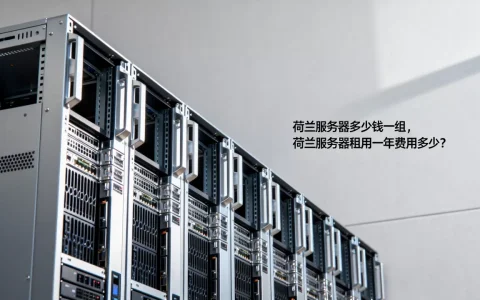 荷兰服务器多少钱一组，荷兰服务器租用一年费用多少？