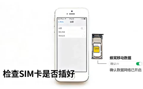 苹果5s开不了数据连接服务器怎么办？，苹果5s无法上网怎么回事