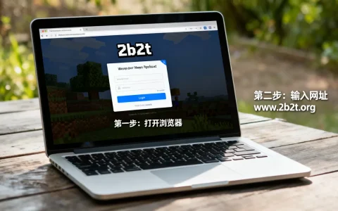 2b2t服务器网页版怎么进呢，不用下载的入口在哪？