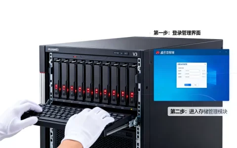 华为v3服务器怎么看磁盘状态，详细操作步骤是什么？