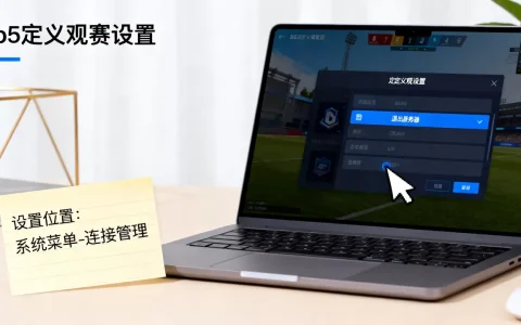b5自定义观赛如何退出服务器？，在哪设置