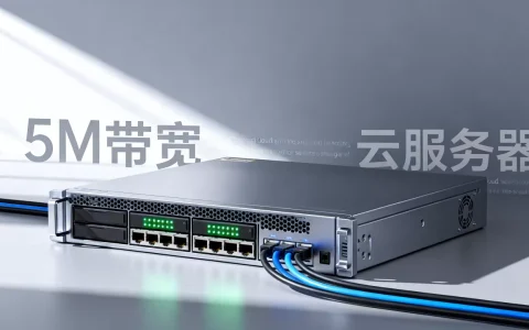 酷番云服务器5M速度究竟怎么样，5M带宽够用吗？