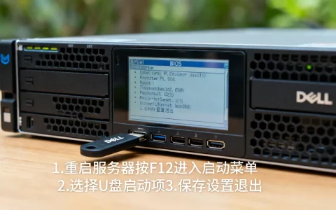 戴尔服务器U盘启动项怎么设置？，BIOS设置步骤是什么？