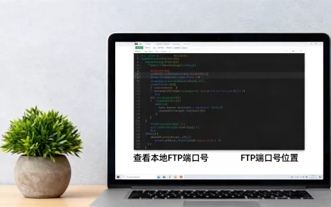 怎么查看本地FTP端口号？，FTP端口号在哪里看