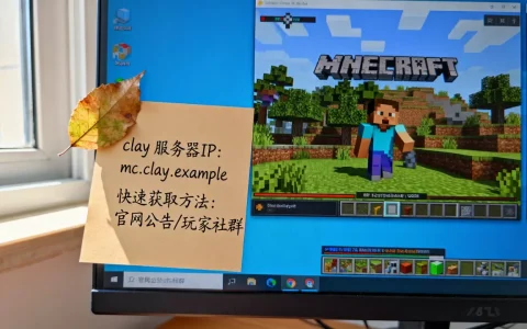 我的世界clay服务器IP是多少，怎么快速获取？