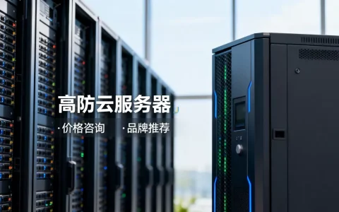 高防云服务器多少钱一个月？,哪个牌子好？
