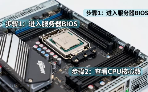 怎么查看服务器有几个CPU？，查询CPU数量方法？