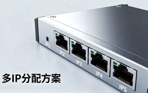 一台服务器5个IP怎么用，多IP服务器如何分配更高效？