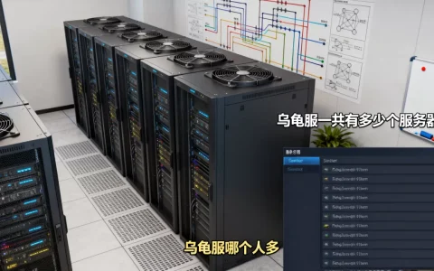 乌龟服一共有多少个服务器？,乌龟服哪个人多