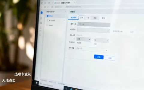 web服务器选项卡变灰怎么办，选项卡为何无法点击