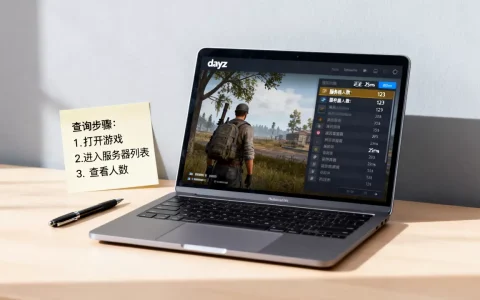 dayz到底怎么看服务器人数？，怎么查最准？
