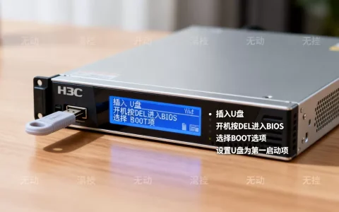 h3c服务器如何从U盘启动，设置步骤是什么？