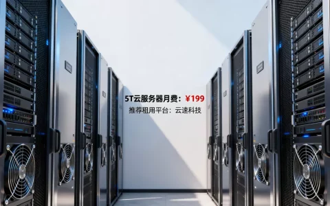 5t云服务器价格每月多少钱？,云服务器租用哪个便宜