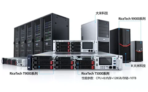 大米科技服务器有哪些型号，哪个系列性能最强？