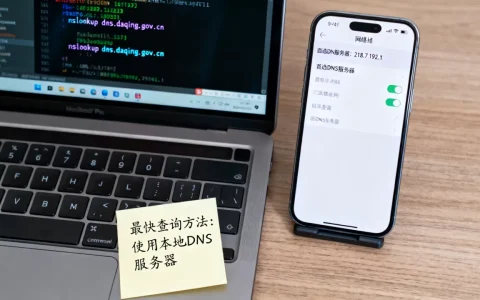 大庆DNS服务器地址是多少，怎么查询最快？