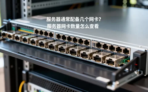 服务器通常配备几个网卡？,服务器网卡数量怎么查看