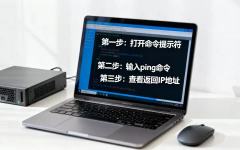 如何查看网上某台服务器的IP地址，有哪些快速查询方法？