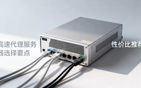 高速代理服务器有哪些选择，哪家性价比高？