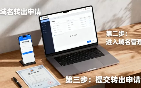 域名中国域名转出流程复杂吗？，新手怎么操作？