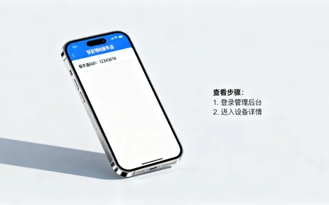 智能辅助服务器码ID是多少，在哪里查看？