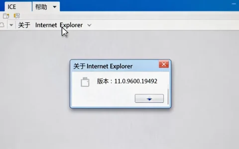 ie服务器版本是多少，如何查询当前ie浏览器版本号？