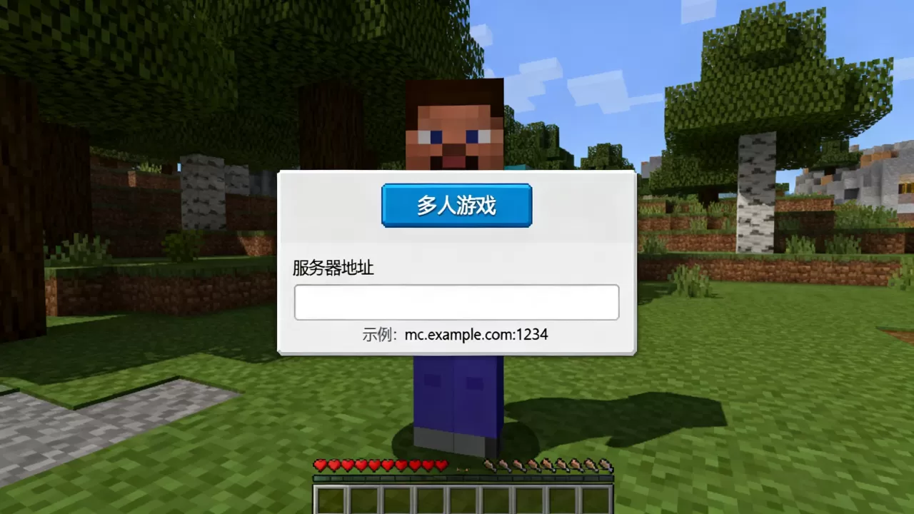 网易版我的世界怎么进别人服务器,服务器地址怎么填? 网易版我的世界怎么进别人服务器,服务器地址怎么填?