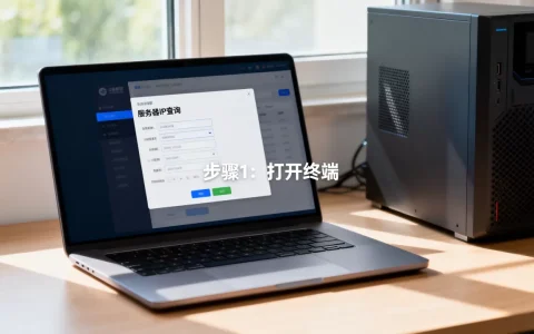 cmsv7服务器IP到底是多少，怎么查询？