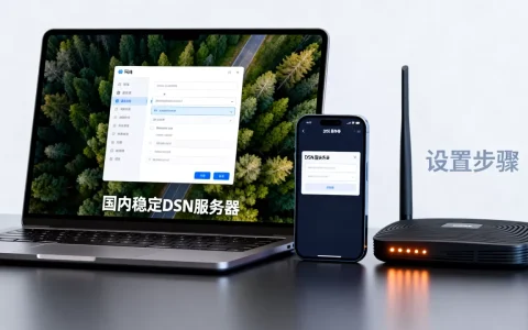 国内稳定的dsn服务器是多少，怎么设置？