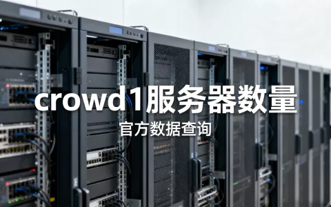 crowd1服务器有多少台，官方数据哪里查