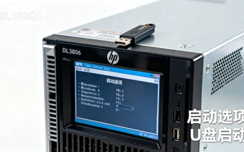 惠普DL380G6服务器怎么进PE，设置U盘启动？
