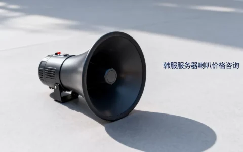 韩服服务器喇叭多少钱？价格贵不贵？