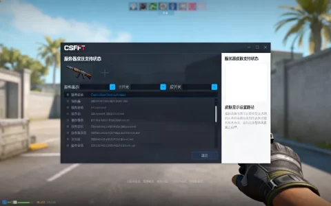CSGO如何查看服务器是否支持皮肤，服务器皮肤显示设置在哪