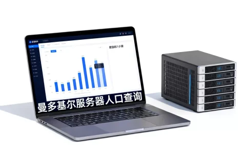 曼多基尔服务器到底有多少人，服务器人口怎么查