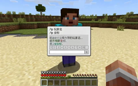 我的世界服务器怎么tp到别人的地皮，传送指令有哪些？