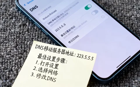 DNS的移动服务器地址是多少？，怎么设置最佳？