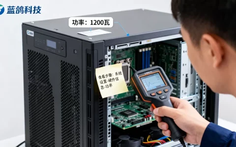 蓝鸽科技服务器功率到底是多少瓦？,如何查看？