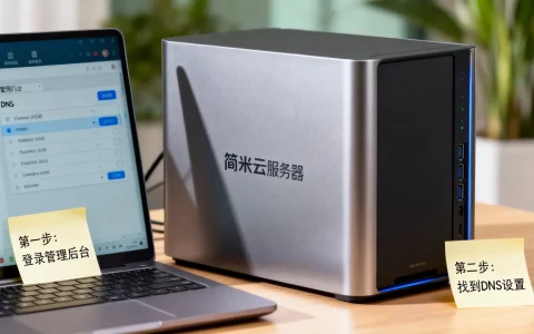 简米云服务器DNS怎么改？,DNS修改后多久生效？