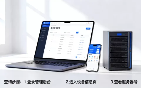 黑芒君的服务器号到底是多少，怎么查最准？